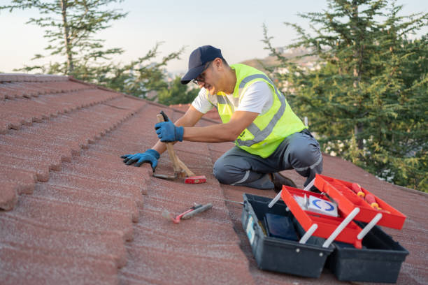 Best Roof Waterproofing Services  in Falls City, NE