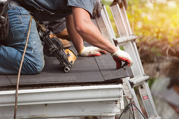 Best Metal Roofing Contractor  in Falls City, NE